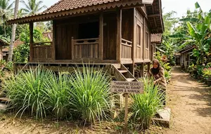 8 Tanaman yang Membuat Rayap Enggan Mendekat ke Rumah Berbahan Kayu
