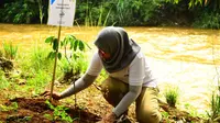 Mapala UI realisasikan program River Adoption dengan menanam pohon.