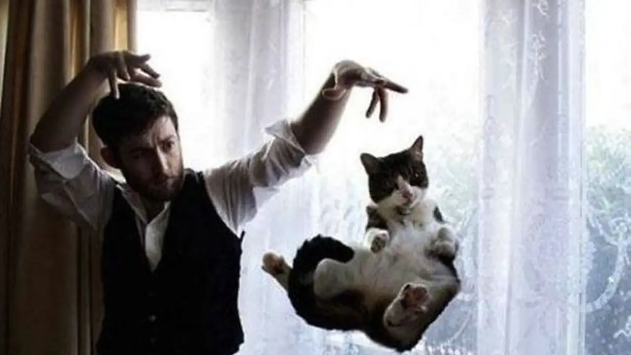 Foto kucing yang pas momennya