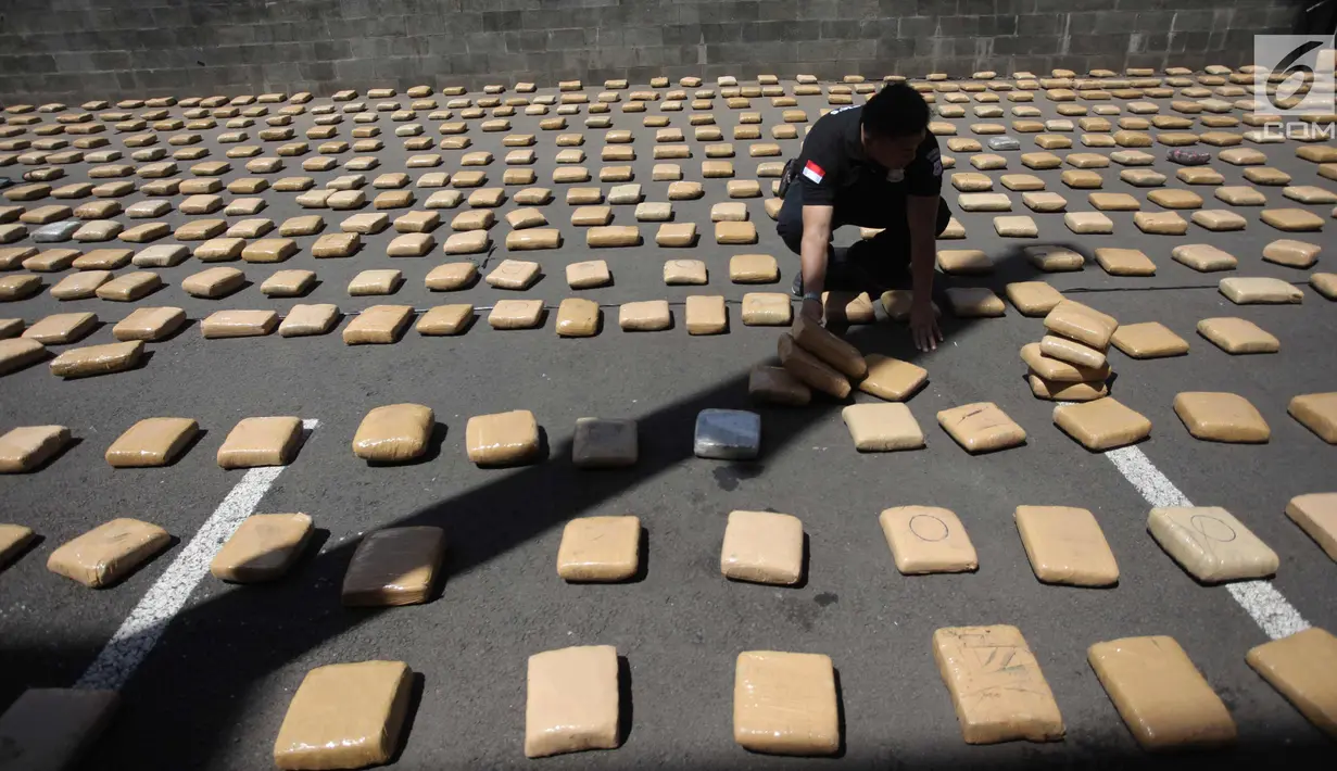 Petugas merapikan barang bukti ganja sebanyak 1.300 paket di Polres Jakarta Barat, Kamis (4/1). Modus penyelundupan ganja disimpan di balik tumpukan karung arang kayu yang sudah dimodifikasi dengan dilapisi baja ringan. (Liputan6.com/Arya Manggala)