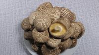 Jamur Shitake / Sumber: Pixabay