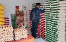 Tahukah Anda? Jual Beras di Atas HET Bisa Tutup Usaha! Disperindag & Polres Gencar Pengawasan Harga Beras Sigi