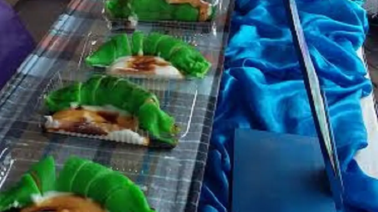 20151128-Makassar Pecahkan Rekor Muri Pisang Ijo Terpanjang dan Terbanyak