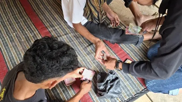 Judi di Arena Adu Kerbau Rambu Solo', 6 Pria Ditangkap Polres Toraja Utara