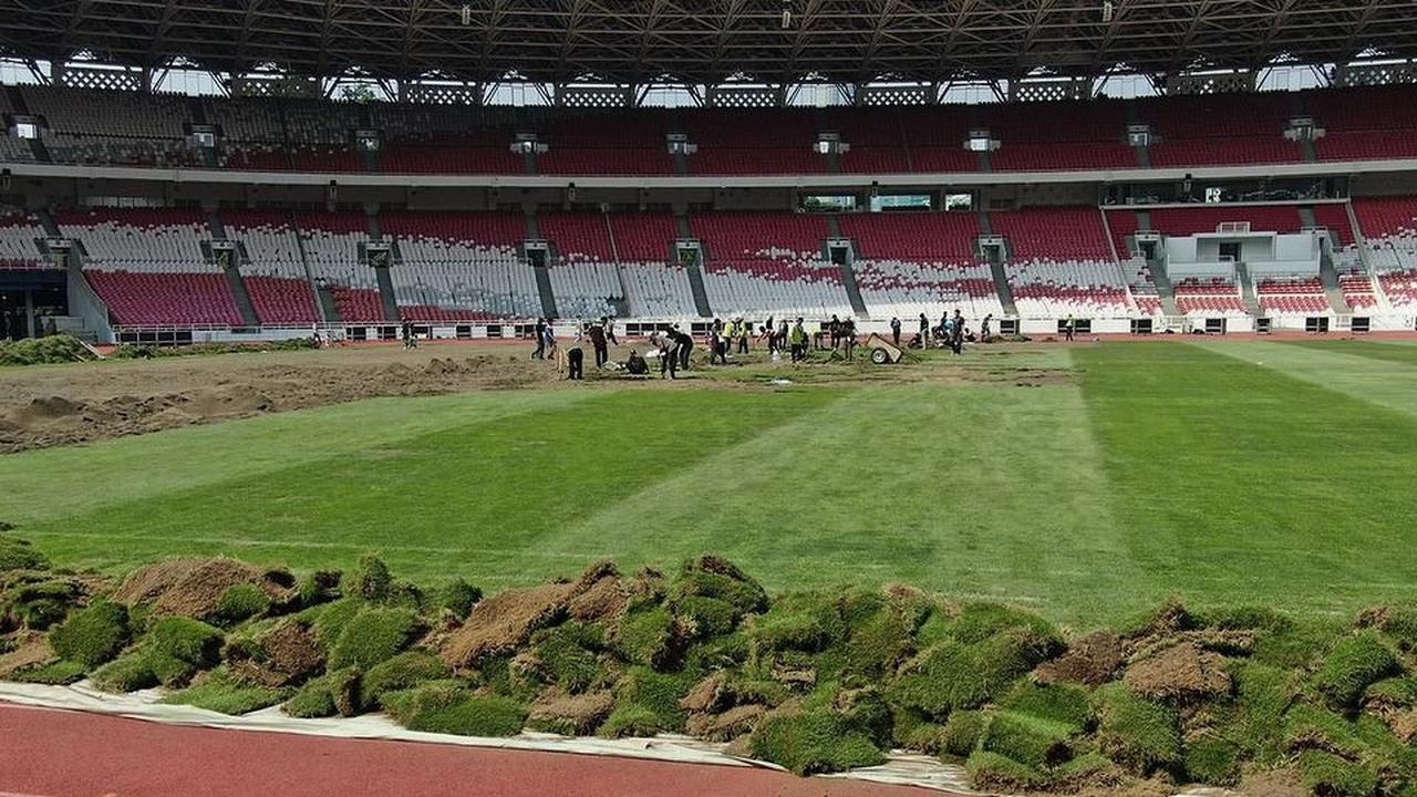 Potret Rumput Stadion GBK Ditanam Secara Manual, Eks Pelatih Timnas Futsal Sampai Bilang 'Ini Bukan Sawah