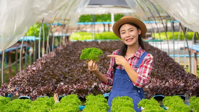 Farmer