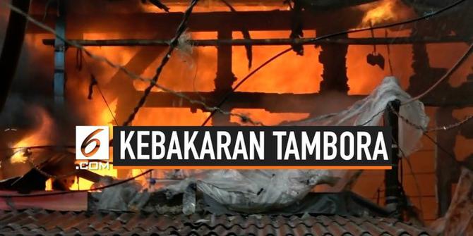VIDEO: Dahsyatnya Kebakaran 20 Rumah Warga di Tambora