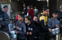 WHO: Perbaikan Sistem Kesehatan di Gaza Butuh Rp172 Triliun