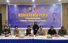 Polda Kepri Ungkap Kasus Perambahan Hutan Rempang, Lahan Konservasi Dijadikan Kebun Mangga