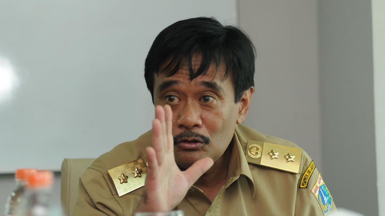 Djarot Saiful Hidayat
