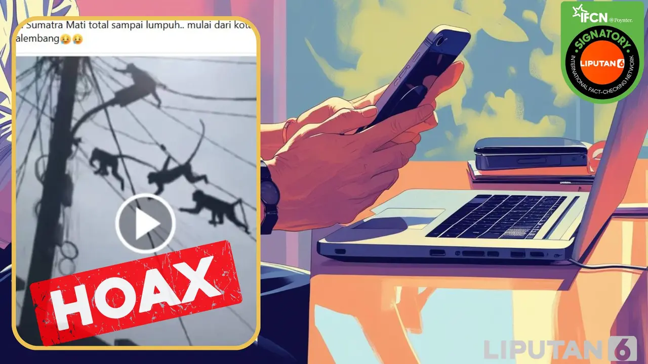 Cek fakta mati listrik di Sumatera karena serangan monyet