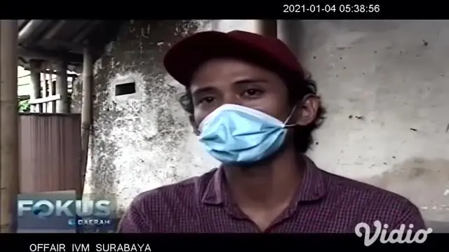 VIDEO : Karang Taruna di Jember Budi Daya Koi, Bantu Korban PHK di Masa Pandemi Covid-19