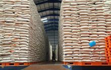 Stok Beras Nasional Aman di Tengah Gejolak Timur Tengah, Bulog dan Pemerintah Jamin Ketersediaan