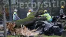 Petugas penyelamat membersihkan lokasi setelah sebuah pohon menimpa mobil di Paris, Kamis (27/2/2020).  Angin kencang menumbangkan pohon besar hingga menimpa sebuah mobil di dekat Menara Eiffel dan menewaskan pengemudi di tempat. (Benoit Moser/BSPP via AP)