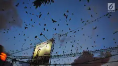 Ribuan burung Layang-layang Api (Hirundo rustica) terbang di atas Jalan Mgr Sugiyopranoto, Semarang, Jumat (4/1). Awal tahun 2019, kawanan burung ini bermigrasi untuk menghindari musim dingin. (Liputan6.com/Gholib)