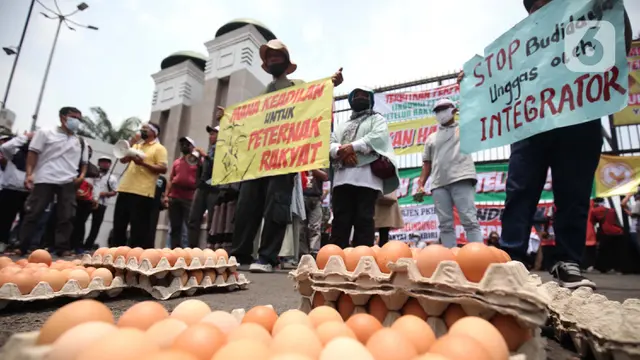 Tuntut Kenaikan Harga Telur, Peternak Ayam Demo di Gedung DPR