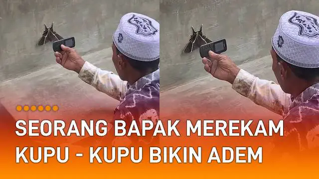 Seorang bapak merekam kupu kupu yang sedang berdiam diri di dekat tangga menarik perhatian.