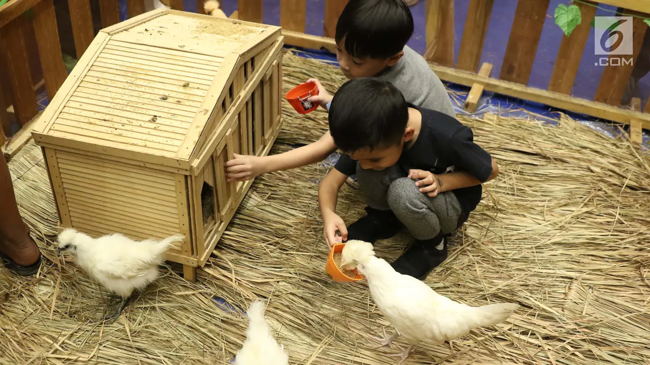 Jakarta Indonesia Pet Show 2019