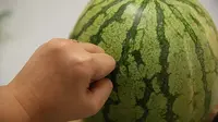 Ketuk semangka, salah satu teknik untuk mengatahui tingkat kematangan. (Via: id.wikihow.com)