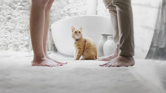 Ilustrasi Relationship Couple