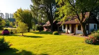 7 Desain Rumah Sederhana Halaman Luas yang Menawan dan Fungsional
