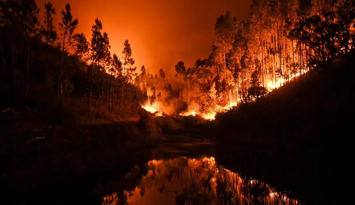 Kobaran api dari kebakaran hutan terpantul dari air di Penela, Portugal Tengah, Minggu (18/6). Setidaknya 25 orang tewas pada kebakaran hutan di Portugal, sebagian akibat terperangkap dalam mobil ketika api melalap hutan. (PATRICIA DE MELO MOREIRA/AFP)