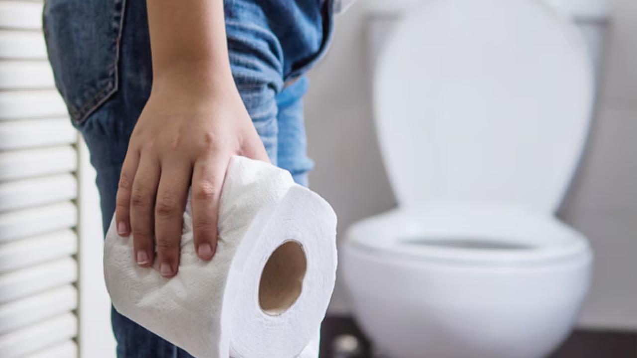 Tapak Dara: Rahasia Alam untuk Kesehatan Optimal dan Penyembuhan Penyakit
