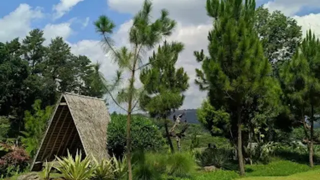 Pinusia Park/Gmaps Rifatul Ulya