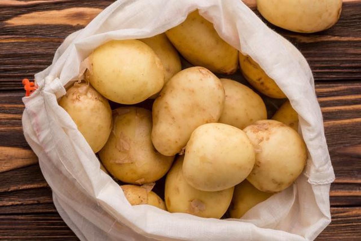 Apakah Kentang Hijau Aman Dimakan? Kenali Risiko dan Cara Aman Mengonsumsinya