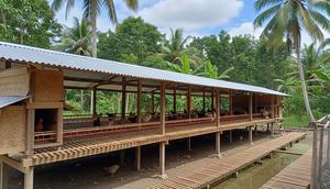 Model Kandang Ayam Anti Ular dan Banjir (Image by Gemini AI)