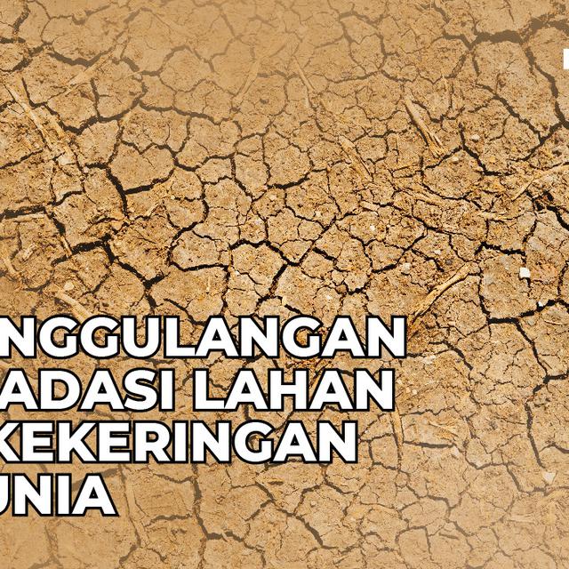 17 Juni Hari Penanggulangan Degradasi Lahan Dan Kekeringan Sedunia Dan Hari Penting 2021 Lainnya Citizen6 Liputan6 Com