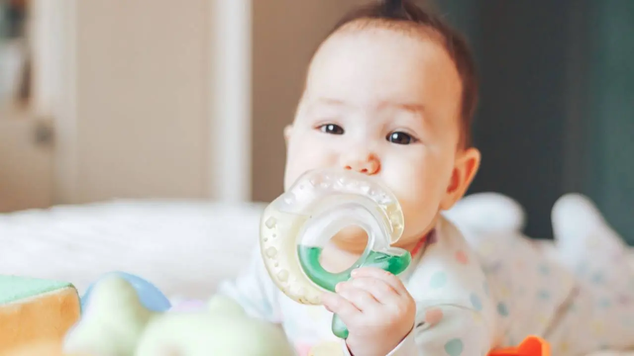 Bantu Si Kecil Lebih Nyaman saat Tumbuh Gigi, Kenali Manfaat Teether Bayi dan Pilihan Produknya