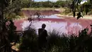 Pengunjung mengambil gambar danau yang berubah warna menjadi pink di Westgate Park, Melbourne, Australia, Senin (4/3). Saat berfotosintesis dan tingginya kadar garam, sungai ini akhirnya berubah warna dan akan kembali saat musim dingin. (William WEST/AFP)