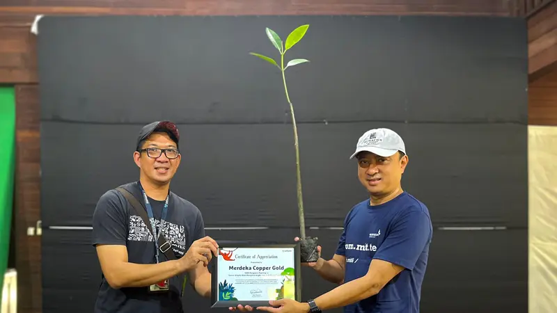 Komitmen Pangkas Karbon, Merdeka Copper Gold Tanam 1.000 Mangrove di Kawasan Taman Wisata Angke