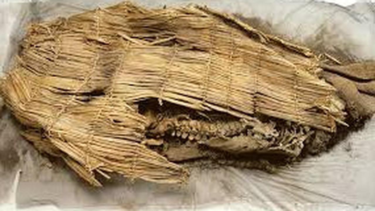 mumi tertua di dunia