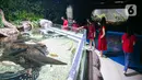 Pengunjung menyaksikan koleksi satwa Jakarta Aquarium & Safari di Jakarta Barat, Jumat (12/2/2021). Jakarta Akuarium merupakan tempat konservasi alam dan satwa laut yang memiliki konsep edutainment sekaligus menjadi destinasi wisata untuk warga menghabiskan libur Imlek. (Liputan6.com/Faizal Fanani)