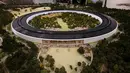 Apple juga menerapkan konsep ramah lingkungan hingga ke terowongan penghubung jalan. Tepat di bagian atap terowongan Apple terlihat akan menanami beragam jenis pepohonan sebagai upaya penghijauan. (credit foto : mercurynews.com)
