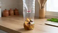 Ide Memanfaatkan Botol Bekas Menjadi Alat Pengusir Lalat Sederhana, Praktis untuk Rumah