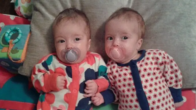 Foto: copyright dailymail.co.uk