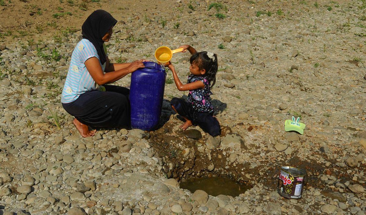 Fenomena El Nino: Kekeringan di Bogor