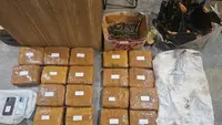 Peredaran 18,8 Kg Ganja Digagalkan Polisi, 1 Pelaku Ditangkap di Parkiran Minimarket Jakbar