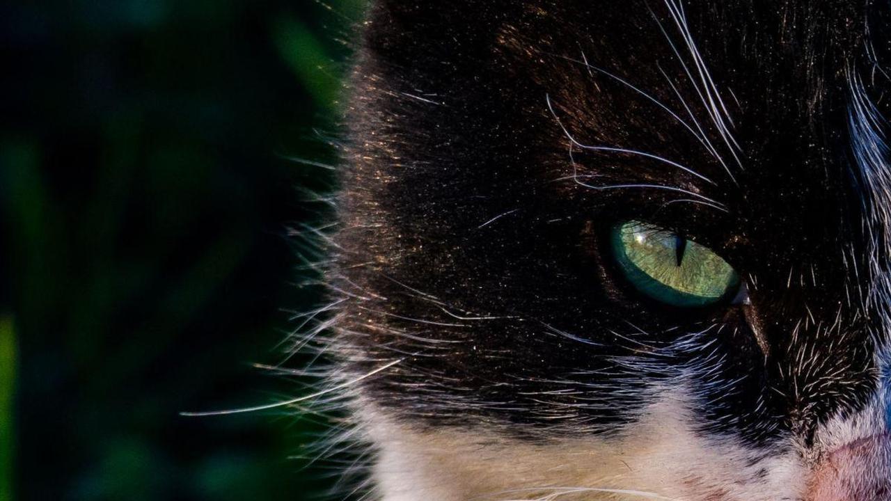 121 Savage Quotes for Haters and Jealous Enemies to Share on Instagram