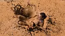 Seorang peserta terjatuh didalam lumpur saat mengikuti Mud Day di Tel Aviv, Israel (24/3). Peserta bisa berlomba sendirian atau bersama tim. (AP Photo/Oded Balilty)