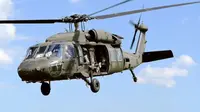 Helikopter Black Hawk Lewati Batas Ketinggian Tebang Saat Tabrak American Airlines