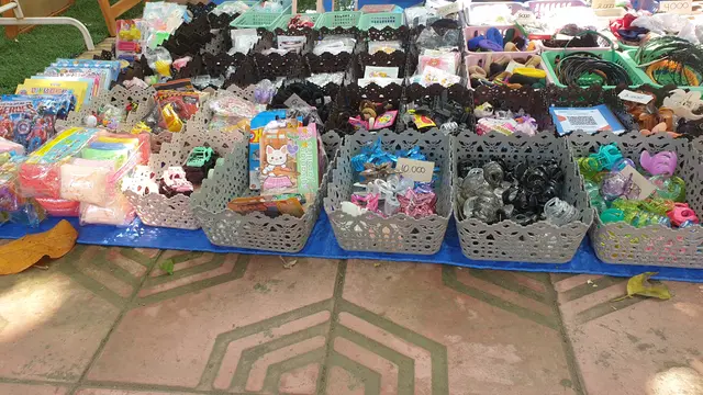 Pembayaran Digital Populer di Sunmor UGM, Cheeryl Aksesori Pilih QRIS BRI