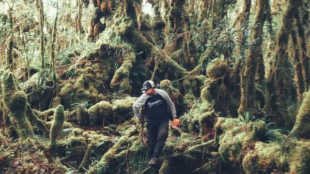 Pendaki saat berada di Gunung Buntu Karua di Tana Toraja Sulawesi Selatan