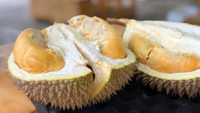Ilustrasi durian
