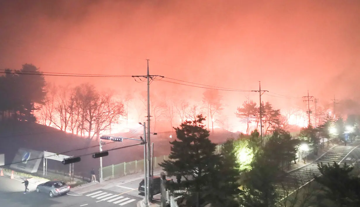 Kebakaran hutan yang melanda di dekat sebuah kota di Sokcho, Korea Selatan (4/4). Dilaporkan api menyebar dengan cepat melalui pegunungan karena angin kencang, membakar sekitar 250 hektar (1 mil persegi) hutan. (AFP Photo/South Korea Out)