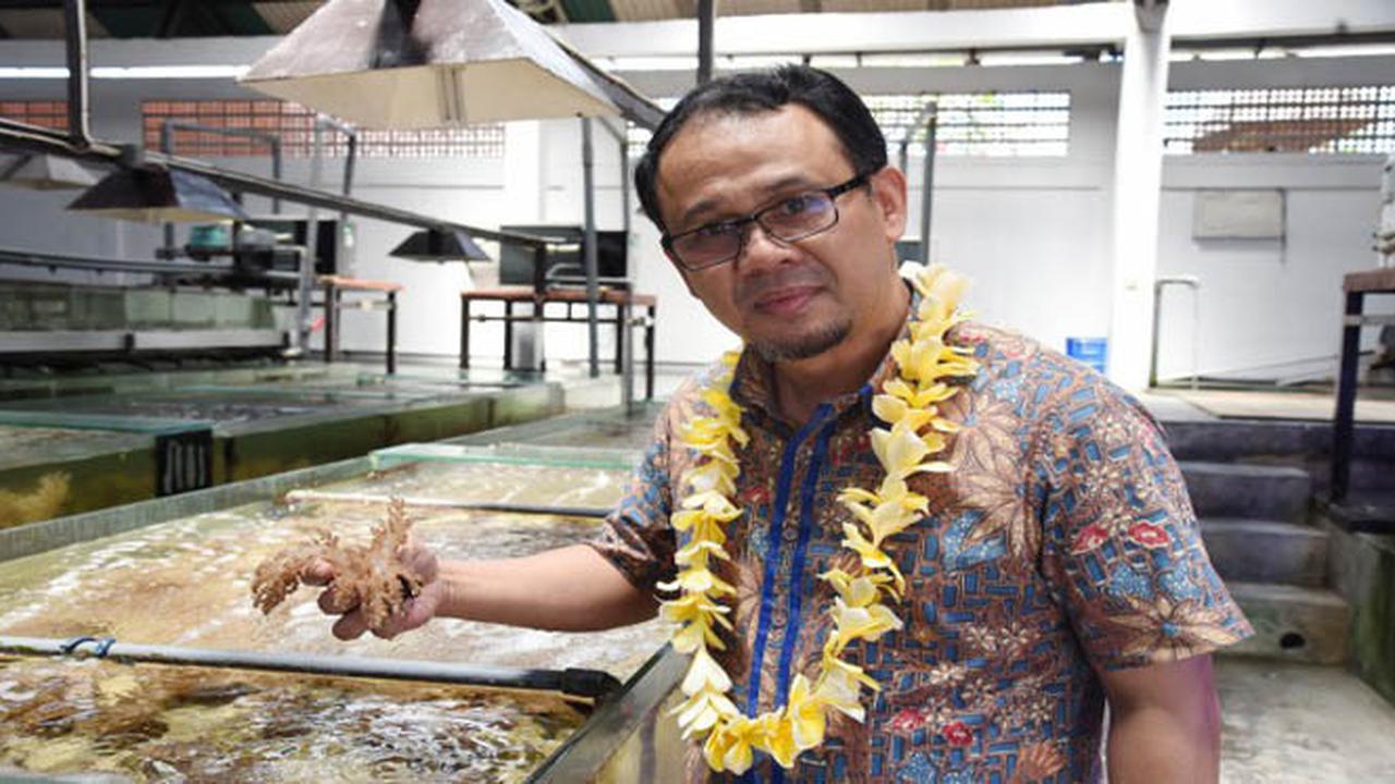 Di tempat yang sama, Anggota Komisi IV DPR RI Darori Wonodipuro menambahkan, masih tingginya permintaan koral alam dari negara luar diperlukan pengawasan yang baik untuk menghindari penyeludupan koral secara ilegal.