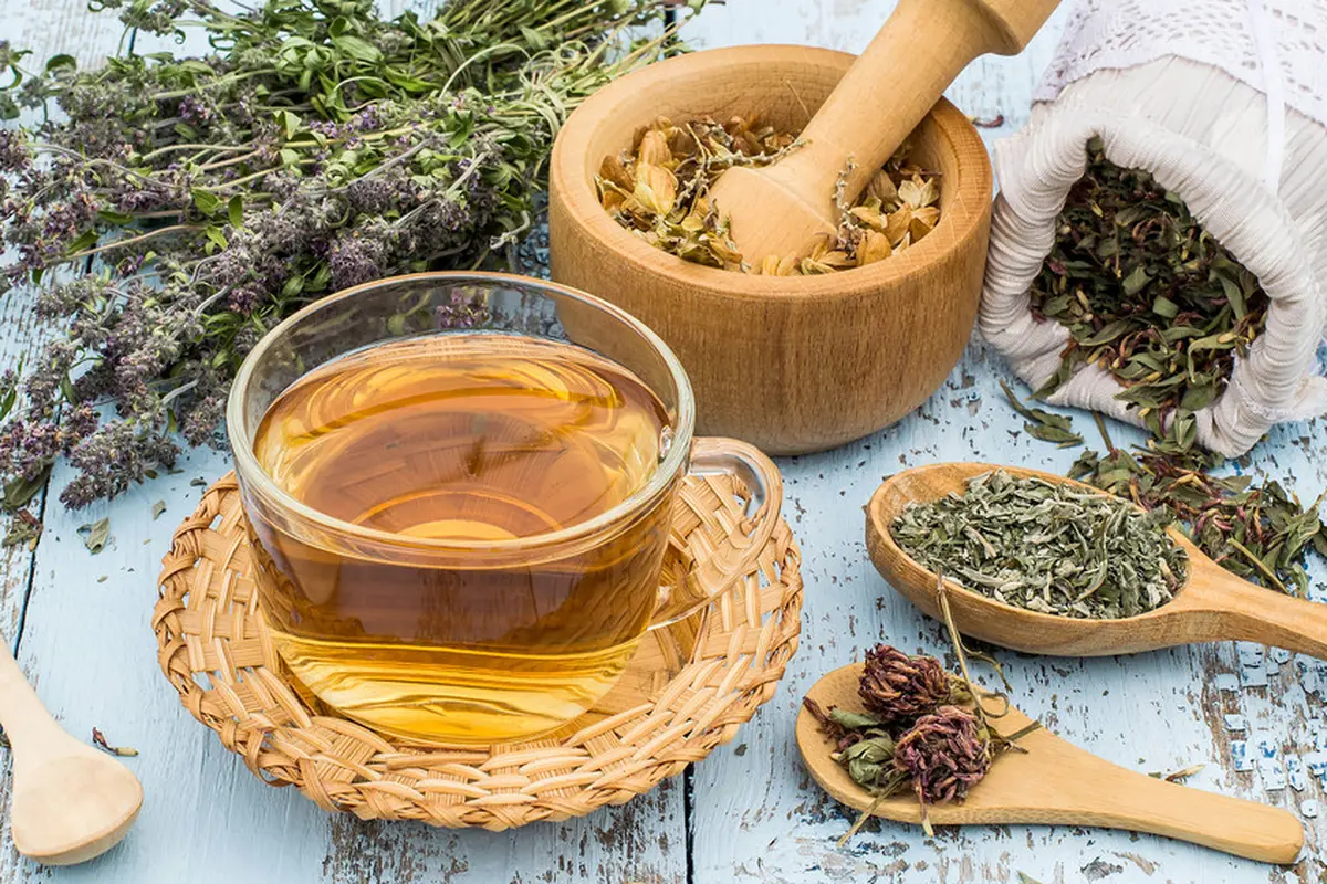 teh herbal bunga tanaman obat